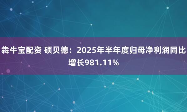 犇牛宝配资 硕贝德：2025年半年度归母净利润同比增长981.11%